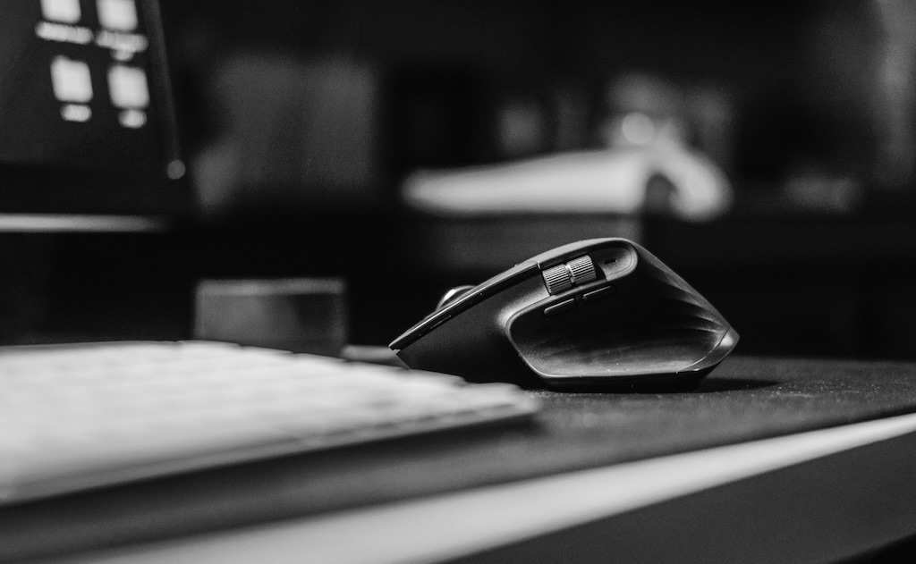 computer mouse