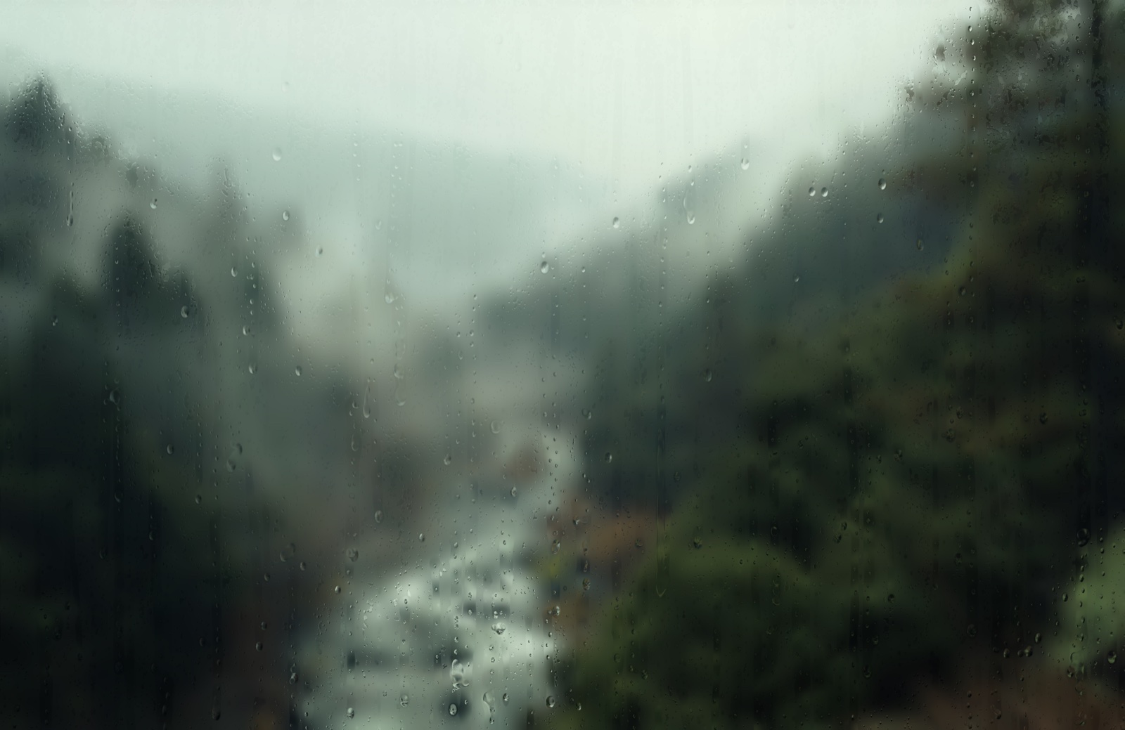 Rain on glass over a misty forest valley: a stream winding through dark conifers, soft fog drifting between the slopes.
